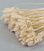 Droogbloemen PHALARIS gebleekt bosje