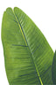 Kunst bananenplant 150 cm