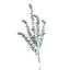 Kunst eucalyptus tak groen