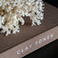 CLAY TONES OPBERGBOEK (XL)